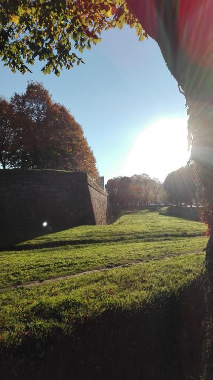Robin'S Nest Villa Lucca Dış mekan fotoğraf